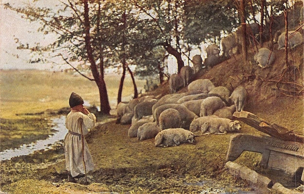 Romanian shepherd on the Jiu (river)