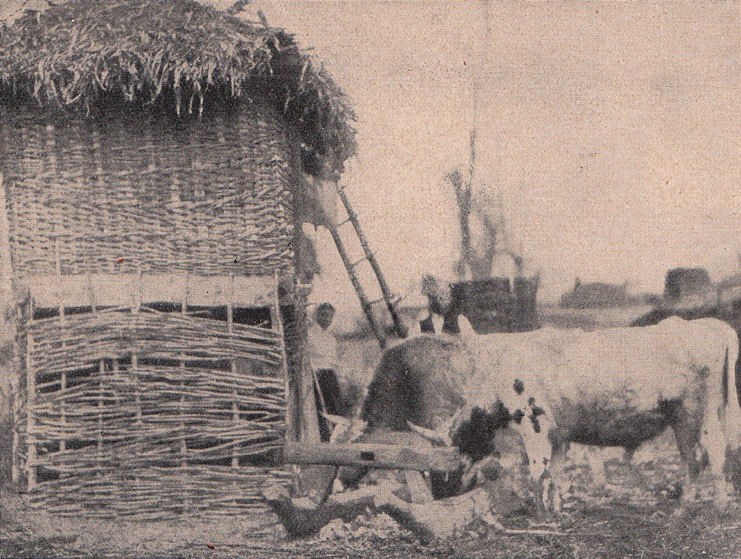 One of the characteristic corn silos in Wallachia