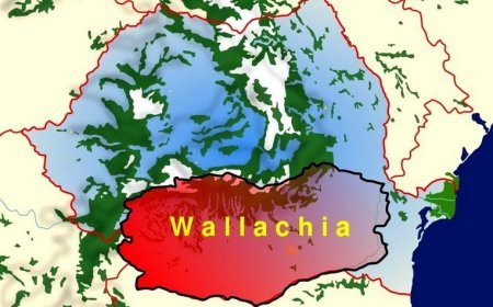 Wallachia: An Expedition Diary by Johannes Franze (1916-1917)